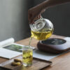 Handblown Stovetop Safe Blooming Glass Tea Pot