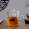 Healthy 3 in 1 Borosilicate Infuser Glass Mug
