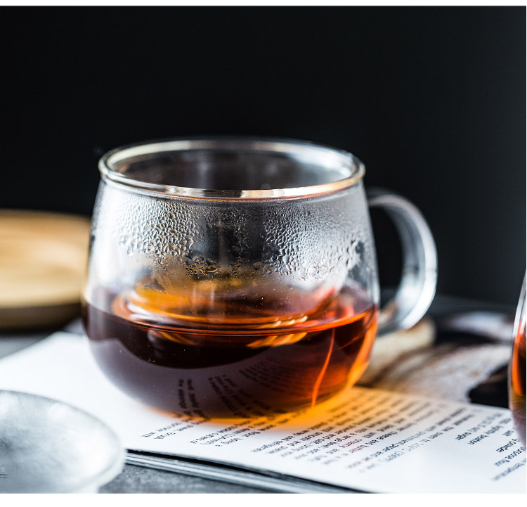 heat_resistant_borosilicate_glass_infuser_mug_factory_800×800_5 Premium Heat Resistant Borosilicate Glass Infuser Mug Factory