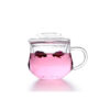 heat_resistant_borosilicate_infuser_glass_mugs_1200×1200 infuser glass mug