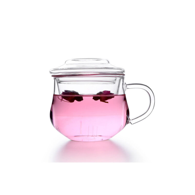 heat_resistant_borosilicate_infuser_glass_mugs_1200×1200 infuser glass mug