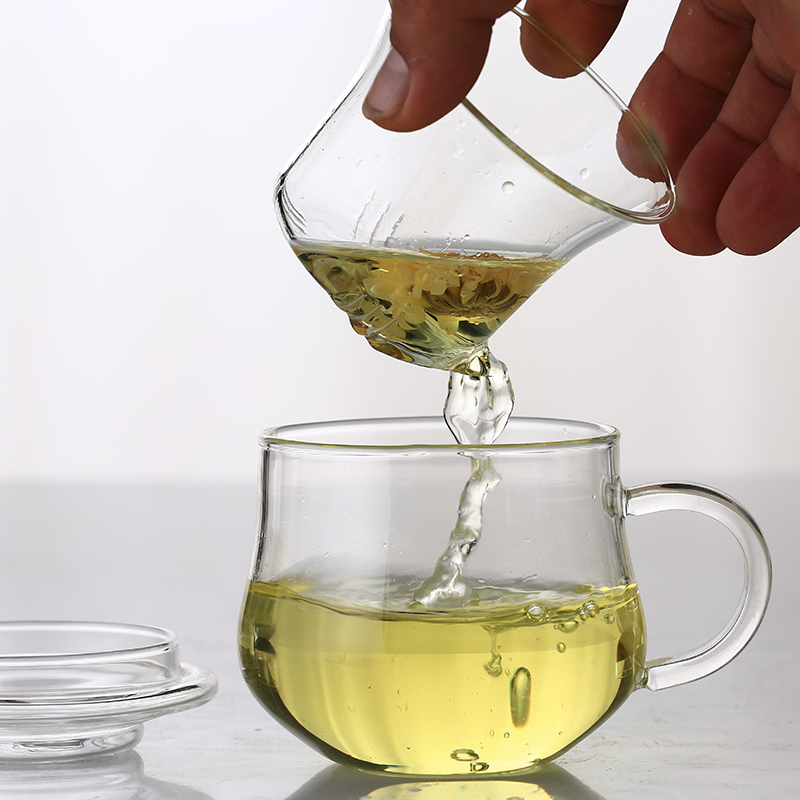 heat_resistant_borosilicate_infuser_glass_mugs_800×800_5 Heat Resistant Borosilicate Infuser Glass Mug