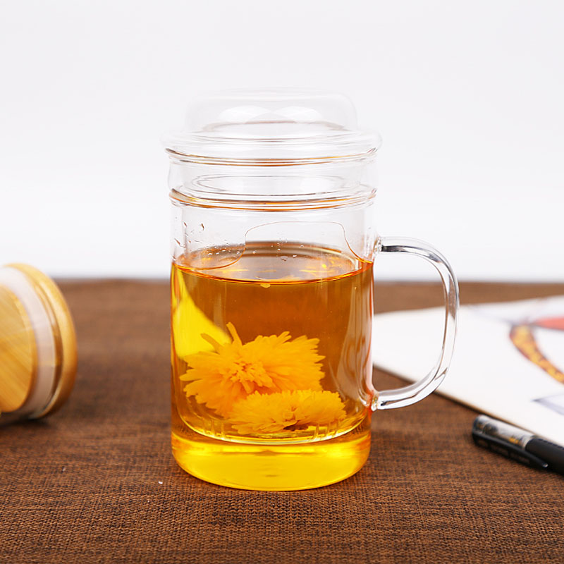healthy_3_in_1_borosilicate_infuser_glass_mug_leadfree_800x800_9 healthy 3 in 1 borosilicate infuser glass mug leadfree